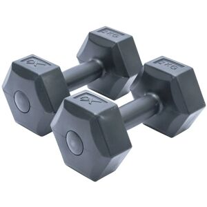 Black 2kg Dumbbells Set Exercise Equipment Home Gym Weight Fitness Accessories - W002940 - Black - Xq Max