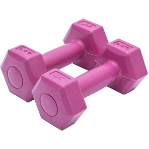 XQ Max Pink 0.5kg Dumbbells Set Exercise Equipment Home Gym Weight Fitness Accessories - W002960 - Pink