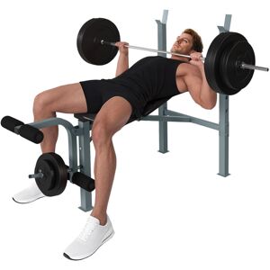 HOMCOM Adjustable Multi Gym Weight Bench Barbell Stand Chest Leg Abs Training HOMCOM Adjustable Multi Gym Weight Bench Barbell Stand Chest Leg Abs Training