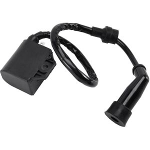 Tlily - Motorbikes Ignition Coil Module & Spark Plug 3430-055 for 400 2003 2004 2005 2006 2007 Motorcycles