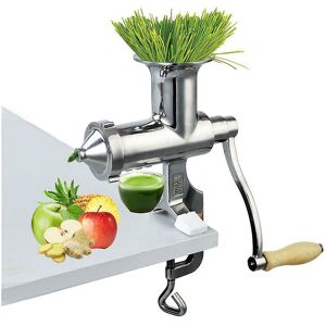 WOOSIEN Hand stainless steel wheatgrass juicer manual auger slow squeezer fruit wheat grass vegetable orange juice extractor