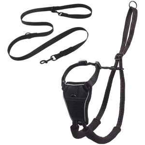 Tinor - Ensemble harnais/laisse pour chiens/cats, adjustable, black Tinor - Ensemble harnais/laisse pour chiens/cats, adjustable, black