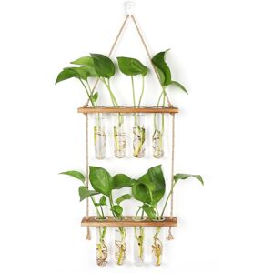 Tinor - Propagation Station with Wooden Stand Wall Vase, Hanging Glass for Hydroponic Plants Tinor - Propagation Station with Wooden Stand Wall Vase, Hanging Glass for Hydroponic Plants