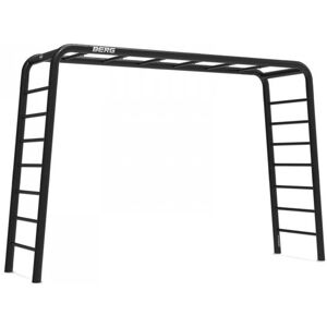 BERG PlayBase large, 2 x ladder