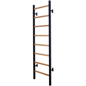 BenchK 200 Wall Bars Black