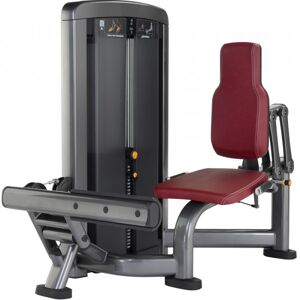 Life Fitness Insignia Series Calf Machine