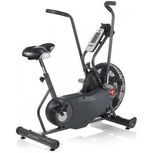 Schwinn AirDyne AD6 Airbike