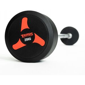 Taurus Fixed Barbell