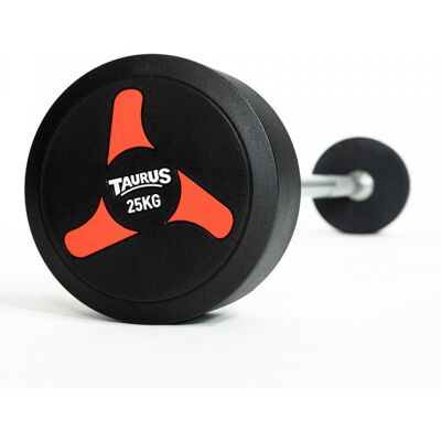Taurus Fixed Barbell V2 20 kg Taurus Fixed Barbell V2 20 kg