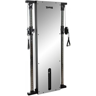 Taurus Taurus Cable Station Dual 90kg - Cable Pulley Station Taurus Taurus Cable Station Dual 90kg - Cable Pulley Station