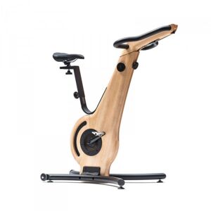 NOHrD Indoor Cycle Exercise Bike Ash