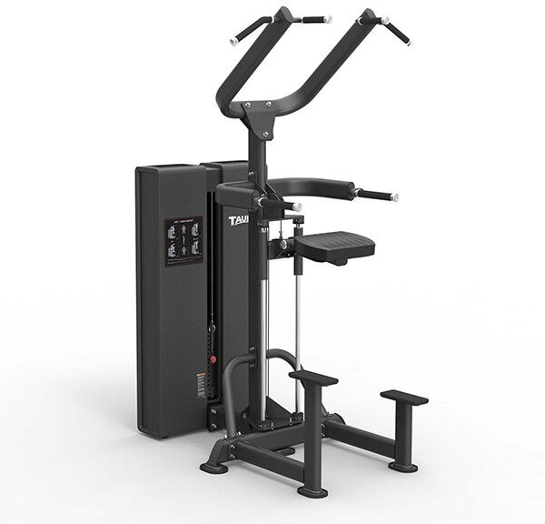 Taurus Pro Assisted Chin & Dip Machine