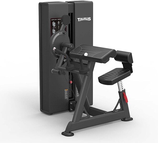 Taurus Pro Bicep Curl & Tricep Machine