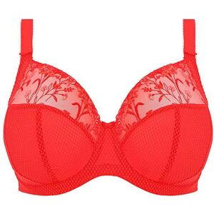 Elomi Charley Plunge Wired Bra Salsa Salsa - - Size: 38E Salsa 38E Elomi Charley Plunge Wired Bra Salsa Salsa - - Size: 38E Salsa 38E