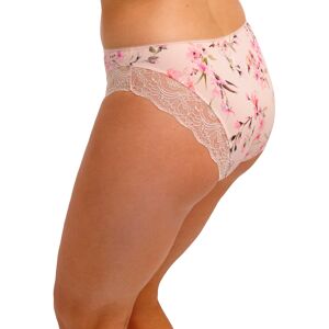 Fantasie Lucia Knicker Rosewater Rosewater 2xl Female Fantasie Lucia Knicker Rosewater Rosewater 2xl Female