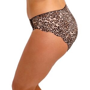 Fantasie Talia Knicker Leopard Leopard Print 2xl Female Fantasie Talia Knicker Leopard Leopard Print 2xl Female