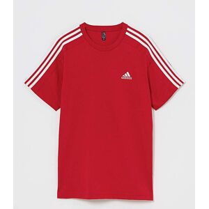 adidas 3 Stripes T-Shirt RED M37/40 male adidas 3 Stripes T-Shirt RED M37/40 male