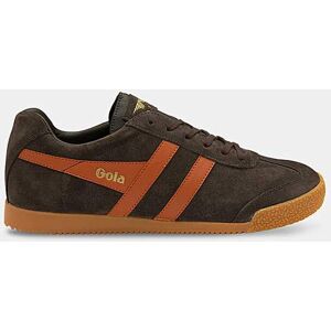 Gola Men's Harrier Trainer - Dark Brown Dark Brown 8 Gola Men's Harrier Trainer - Dark Brown Dark Brown 8