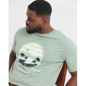 Jack & Jones Palm Graphic T-Shirt Iceberg Green M(44) male Jack & Jones Palm Graphic T-Shirt Iceberg Green M(44) male