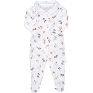 Wrendale Designs Little Wren  Little Paws Printed Babygrow - 0-3 Months