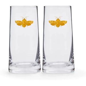 Spode Creatures of Curiosity Hi Ball Glasses - Gold Moth