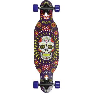 Hydroponic DT Kids Complete Longboard (Mexican Skull Purple)  - Purple