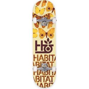 Habitat Skateboards Habitat Insecta Complete Skateboard (Orange) - Orange - Size: 8" Habitat Skateboards Habitat Insecta Complete Skateboard (Orange) - Orange - Size: 8"