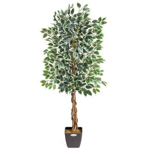 Christow Artificial Variegated Ficus Tree - Green