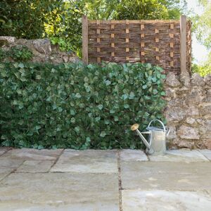 Christow Ivy Leaf Hedge Roll (1m x 3m) - Green