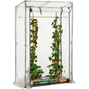 Christow Single Tomato Growhouse – PE - Clear