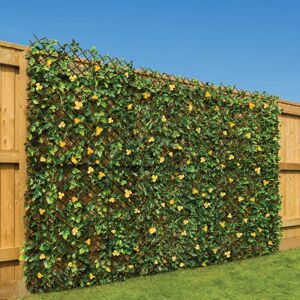 Christow Trellis With Yellow Flowers (1m x 2m) - Yellow