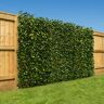 Christow Trellis With 2 Tone Leaves (1m x 2m) - Green