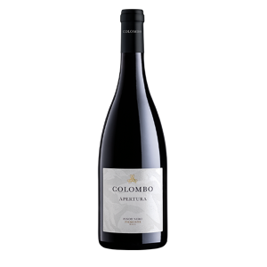 Colombo "Apertura" Pinot Nero Piemonte DOC 2018 - Country: Italy - Capacity: 0.75