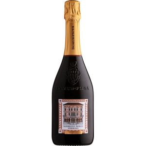 Domus Picta Prosecco Superiore DOCG Extra Dry - Country: Italy - Capacity: 0.75