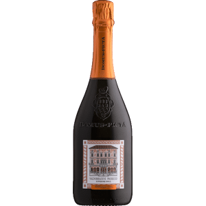 Domus Picta Prosecco Superiore Dry Millesimato DOCG - Country: Italy - Capacity: 0.75