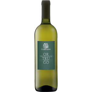 Cantine Campana Ortrugo Colli Piacentini DOC 2022 - Country: Italy - Capacity: 0.75