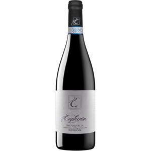 Monte Cillario Valpolicella Superiore DOC 