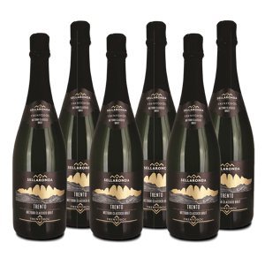 Case 6 bottles Trento DOC Brut Sellaronda - Country: Italy - Capacity: 4.50