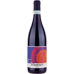 Tenuta Il Cascinone "Avamposti Cerchi" Monferrato Rosso DOC 2022 - Country: Italy - Capacity: 0.75 Tenuta Il Cascinone "Avamposti Cerchi" Monferrato Rosso DOC 2022 - Country: Italy - Capacity: 0.75