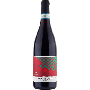 Tenuta Il Cascinone "Avamposti Ventura" Piemonte DOC Pinot Nero 2023 - Country: Italy - Capacity: 0.75 Tenuta Il Cascinone "Avamposti Ventura" Piemonte DOC Pinot Nero 2023 - Country: Italy - Capacity: 0.75