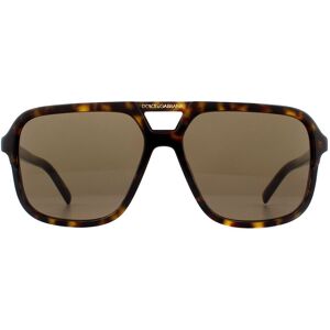 Dolce & Gabbana Mens Sunglasses Dg4354 502/73 Havana Brown Gradient - One Size