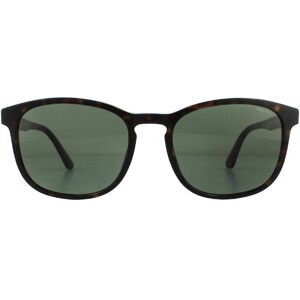 Police Square Mens Shiny Havana Green Sunglasses - Brown - One Size Police Square Mens Shiny Havana Green Sunglasses - Brown - One Size