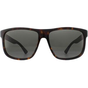 Gucci GG0010S - 003 (havana/grey) Gucci GG0010S - 003 (havana/grey)