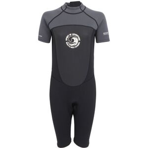 Regatta Womens/ladies Shorty Wetsuit (Dark Grey/black) - Size Uk 10-12 Regatta Womens/ladies Shorty Wetsuit (Dark Grey/black) - Size Uk 10-12