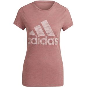 Adidas Womens Must Haves Winners T-Shirt In Rose Cotton - Size Uk 8-10 (Womens) Adidas Womens Must Haves Winners T-Shirt In Rose Cotton - Size Uk 8-10 (Womens)