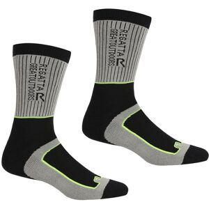 Regatta Mens Samaris 2 Season Socks - Dark Steel/Electric Lime - Pack of 2 - Socks Regatta Mens Samaris 2 Season Socks - Dark Steel/Electric Lime - Pack of 2 - Socks