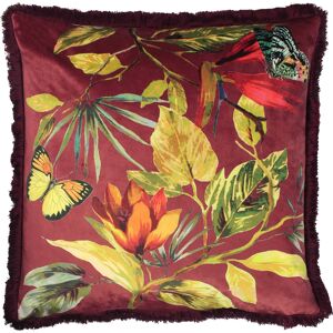 Paoletti Cahala Tropical Fringed Velvet Cushion Cover - Berry - One Size Paoletti Cahala Tropical Fringed Velvet Cushion Cover - Berry - One Size