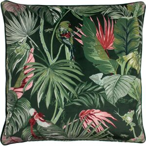 Paoletti Amazon Creatures Tropical Floral Piped Feather Filled Cushion - Green - One Size Paoletti Amazon Creatures Tropical Floral Piped Feather Filled Cushion - Green - One Size