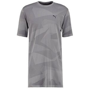Puma Evo Knit Image Tee Graphic Grey Mens Long Style T-Shirt Top 572454 04 A6d - Size Small Puma Evo Knit Image Tee Graphic Grey Mens Long Style T-Shirt Top 572454 04 A6d - Size Small