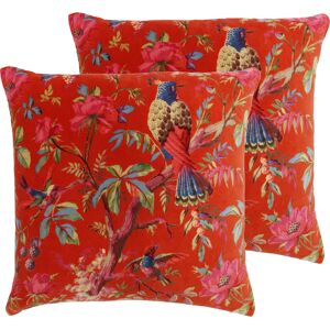 Paoletti Paradise Square Cushions (Twin Pack) - Orange Cotton - Size 50 Cm X 50 Cm Paoletti Paradise Square Cushions (Twin Pack) - Orange Cotton - Size 50 Cm X 50 Cm